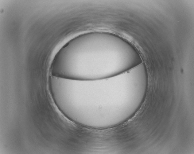 X0000077331520200611171754