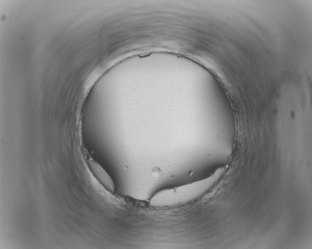 X0000077331524200611171755