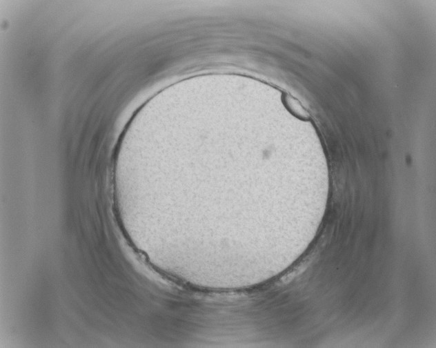 X0000077331526200611171755