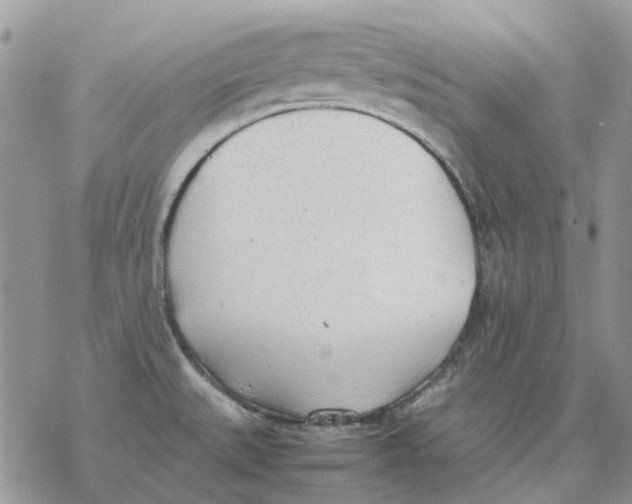 X0000077331527200611171755