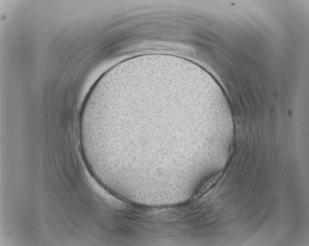 X0000077331531200611171755