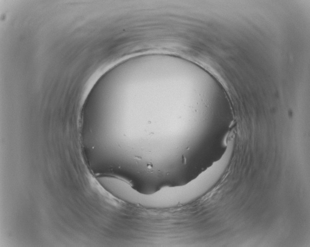 X0000077331532200611171755