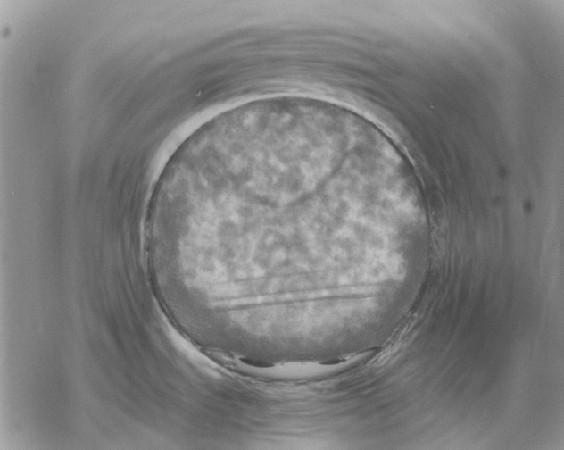 X0000077331535200611171755