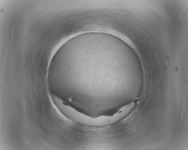 X0000077331536200611171755