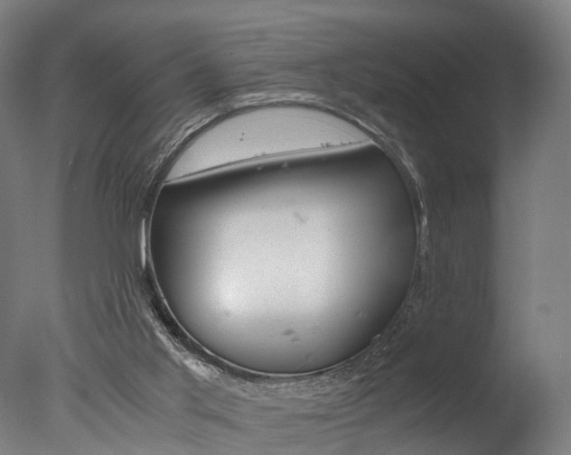 X0000077340013200610200952