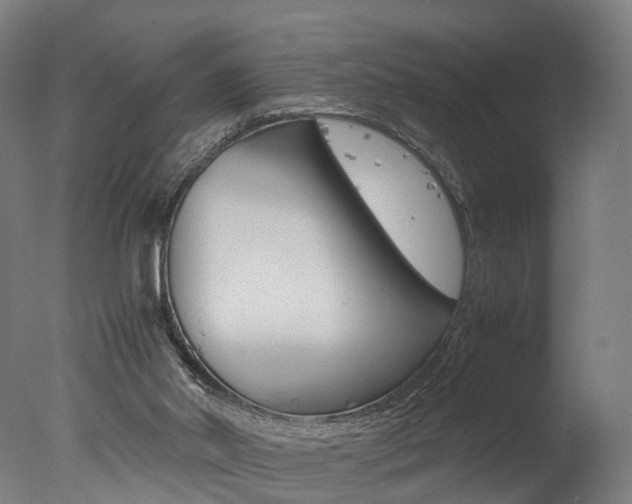 X0000077340014200610200952