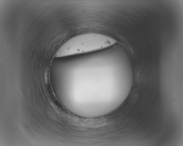 X0000077340026200610200952