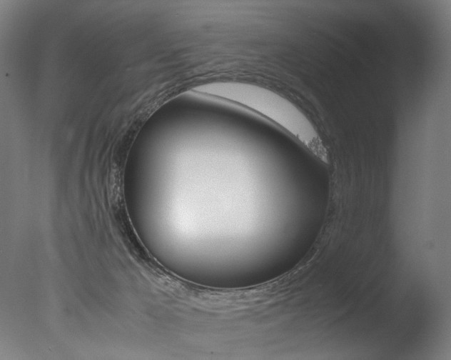 X0000077340029200610200952