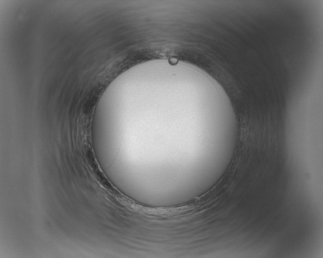 X0000077340030200610200952