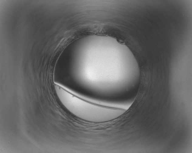 X0000077340035200610200952