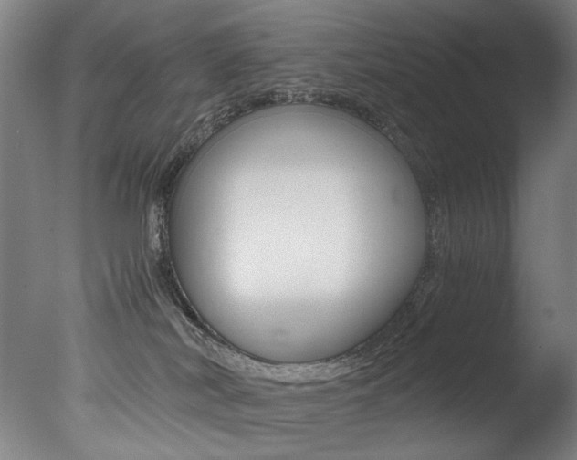 X0000077340038200610200952