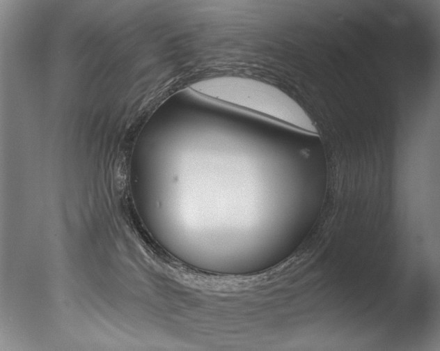 X0000077340040200610200952