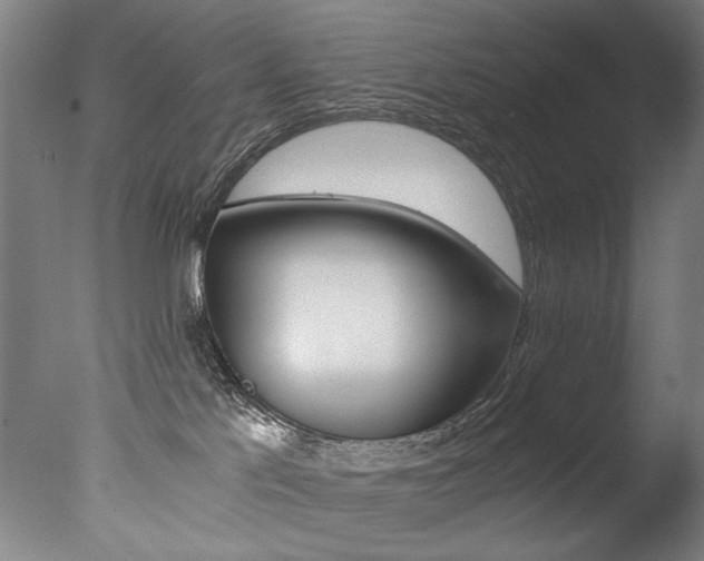 X0000077340041200610200952