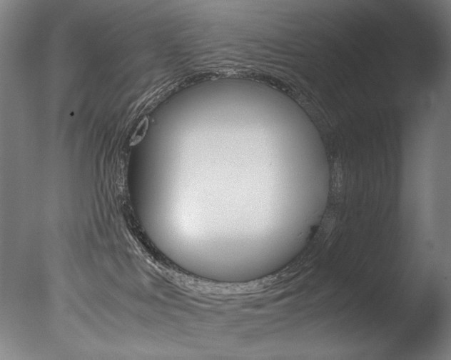 X0000077340043200610200952