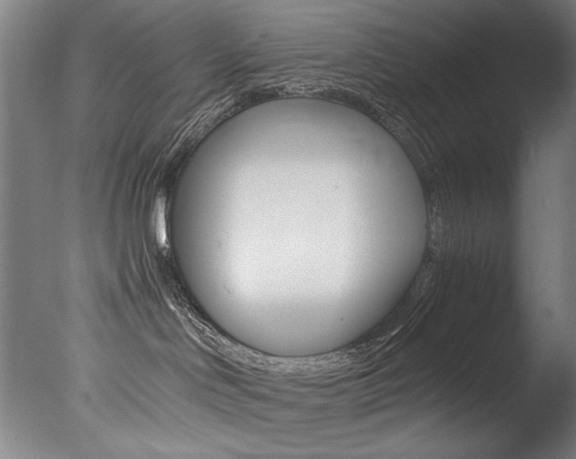 X0000077340046200610200952