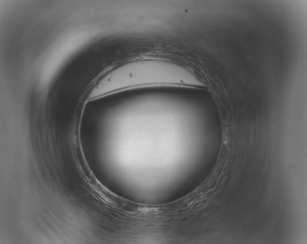 X0000077340052200610200951