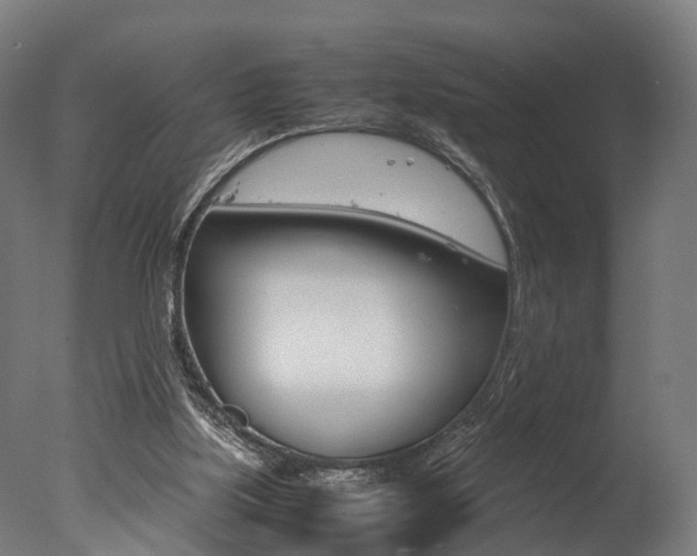 X0000077340059200610200951