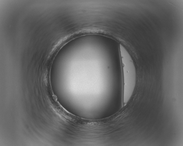 X0000077340064200610200951