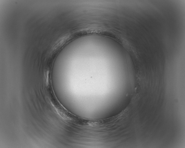 X0000077340070200610200951
