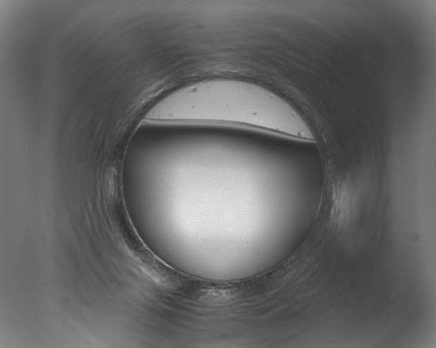 X0000077340071200610200951