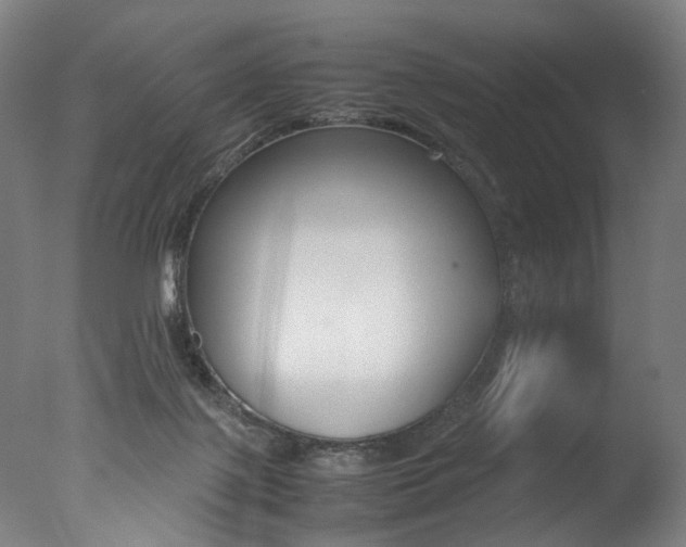 X0000077340075200610200951