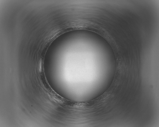 X0000077340076200610200951