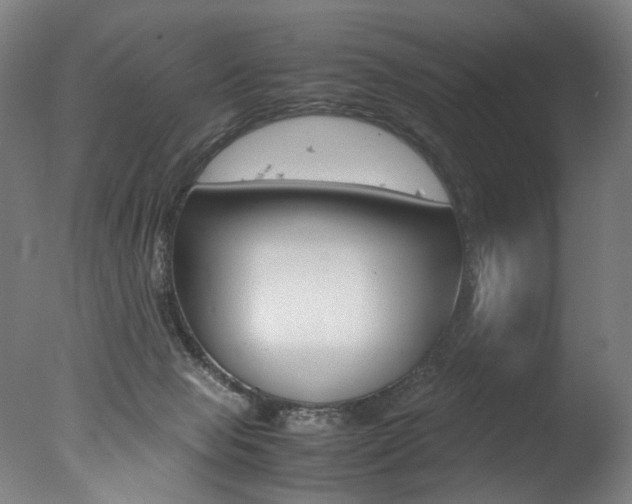 X0000077340077200610200951