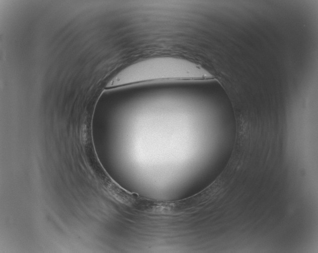 X0000077340080200610200951