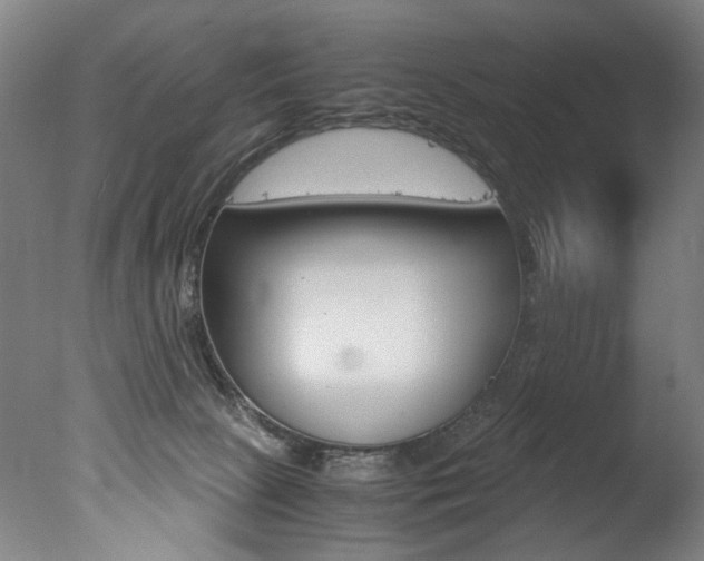 X0000077340081200610200952
