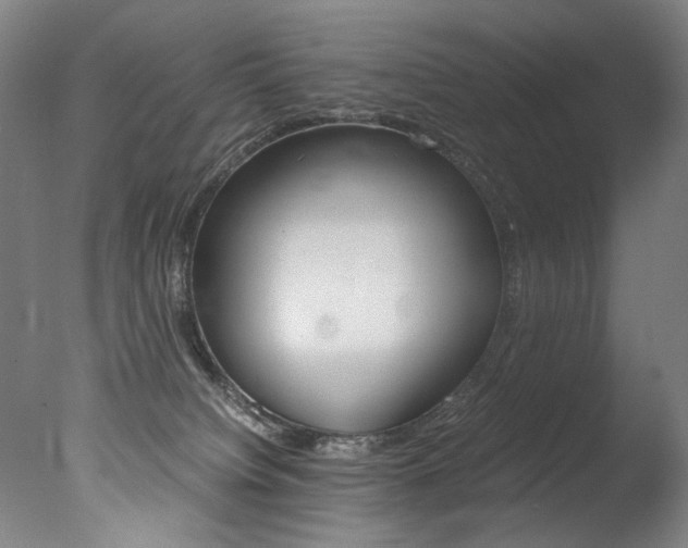 X0000077340084200610200952