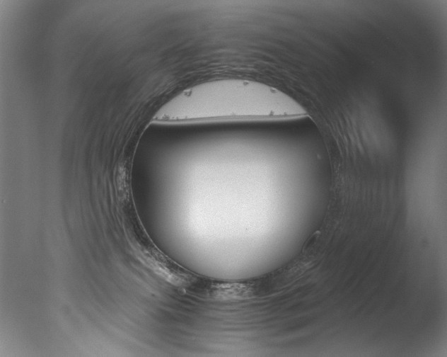 X0000077340087200610200952