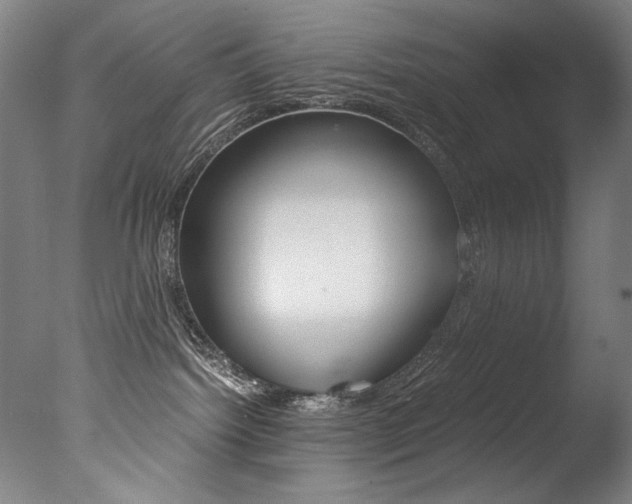 X0000077340092200610200952