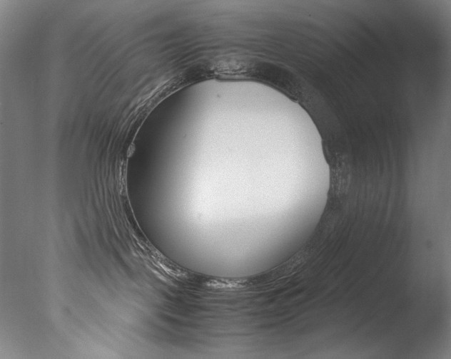X0000077340093200610200952