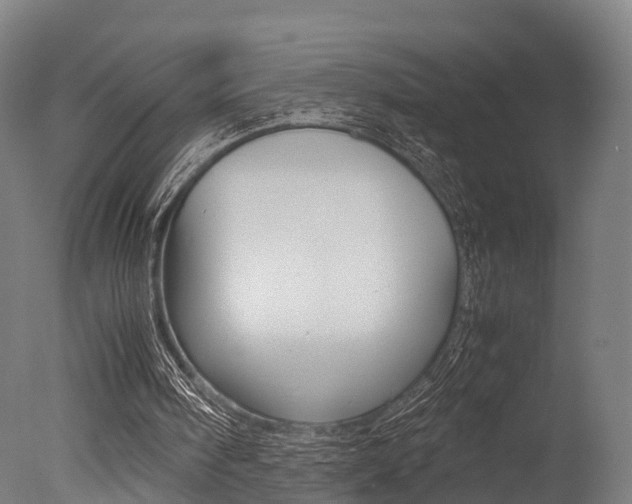 X0000077340098200610200951