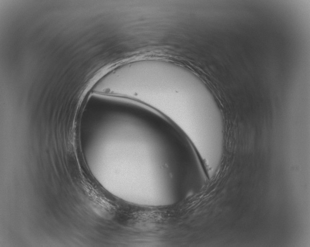 X0000077340100200610200951