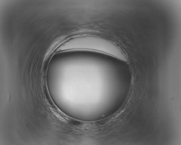 X0000077340101200610200951