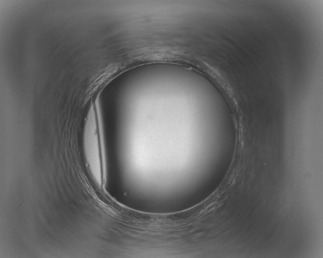 X0000077340105200610200951