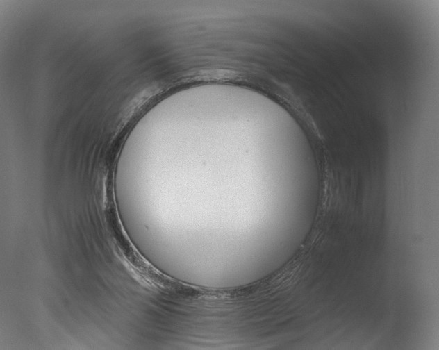 X0000077340110200610200951