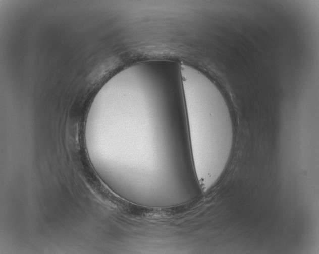 X0000077340115200610200951