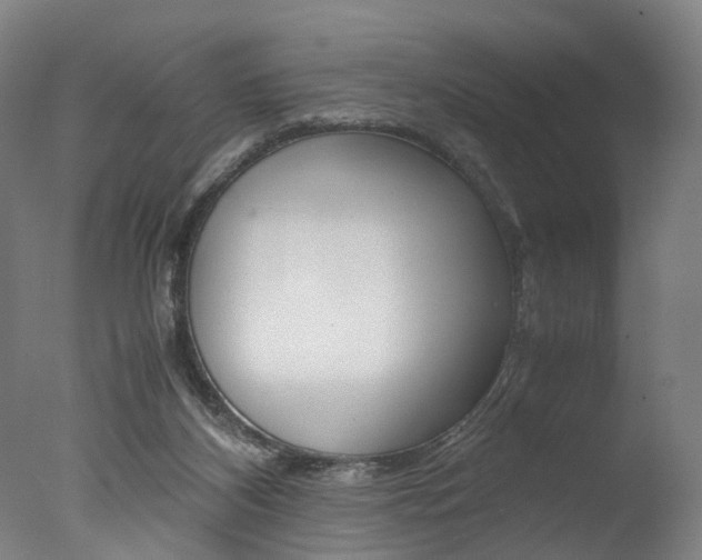 X0000077340116200610200951