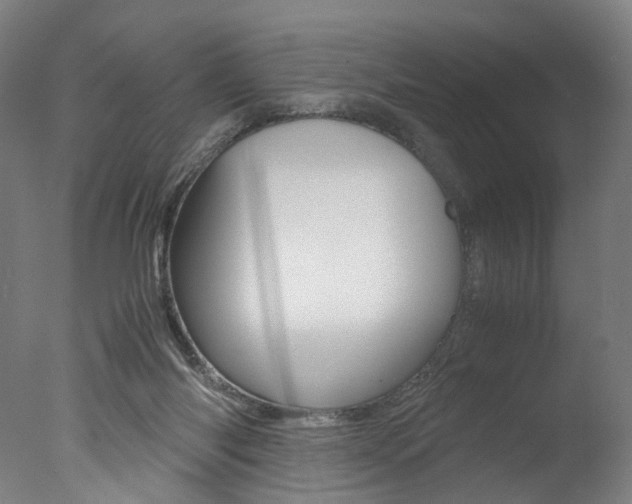 X0000077340118200610200951