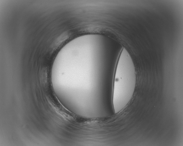 X0000077340120200610200951