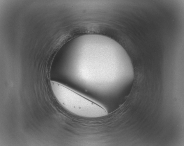 X0000077340123200610200951
