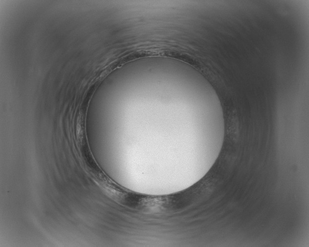 X0000077340131200610200950