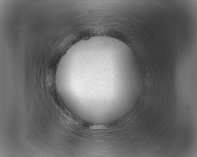 X0000077340133200610200950