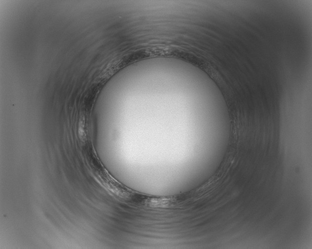 X0000077340134200610200950
