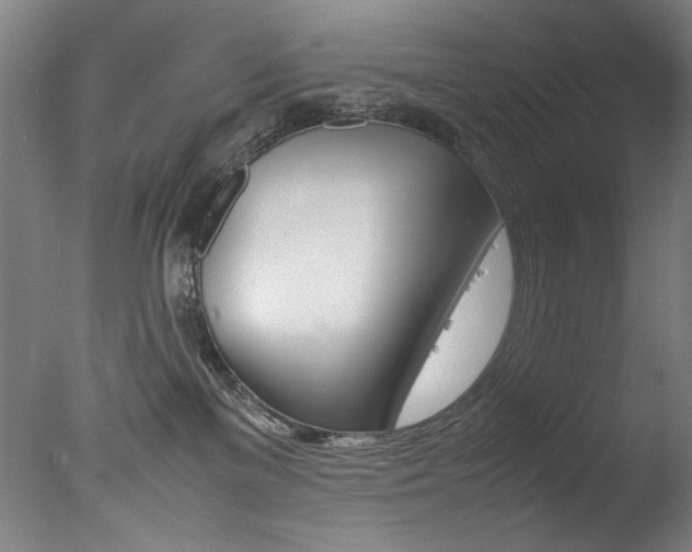 X0000077340137200610200950