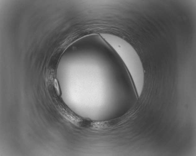 X0000077340141200610200950