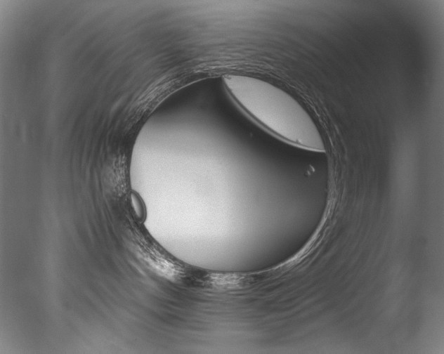 X0000077340144200610200950