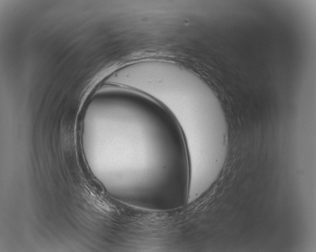 X0000077340148200610200949